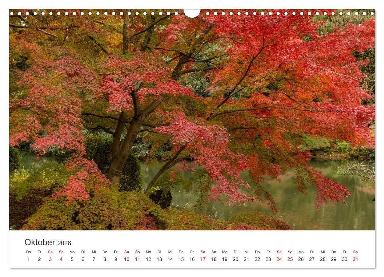 Bild: 9783457490624 | Japanischer Herbst und Laub (Wandkalender 2026 DIN A3 quer),...