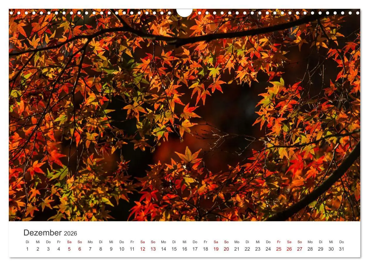 Bild: 9783457490624 | Japanischer Herbst und Laub (Wandkalender 2026 DIN A3 quer),...