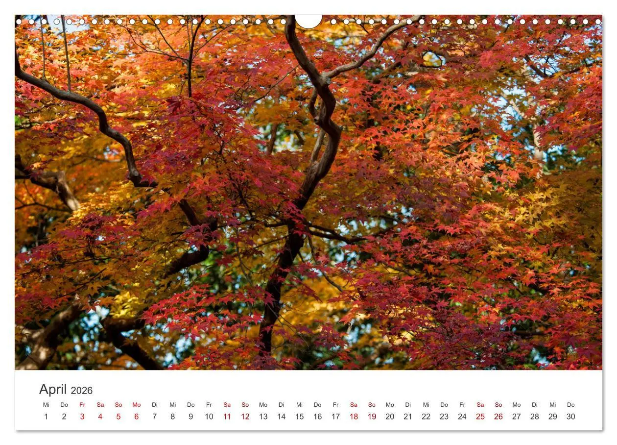 Bild: 9783457490624 | Japanischer Herbst und Laub (Wandkalender 2026 DIN A3 quer),...