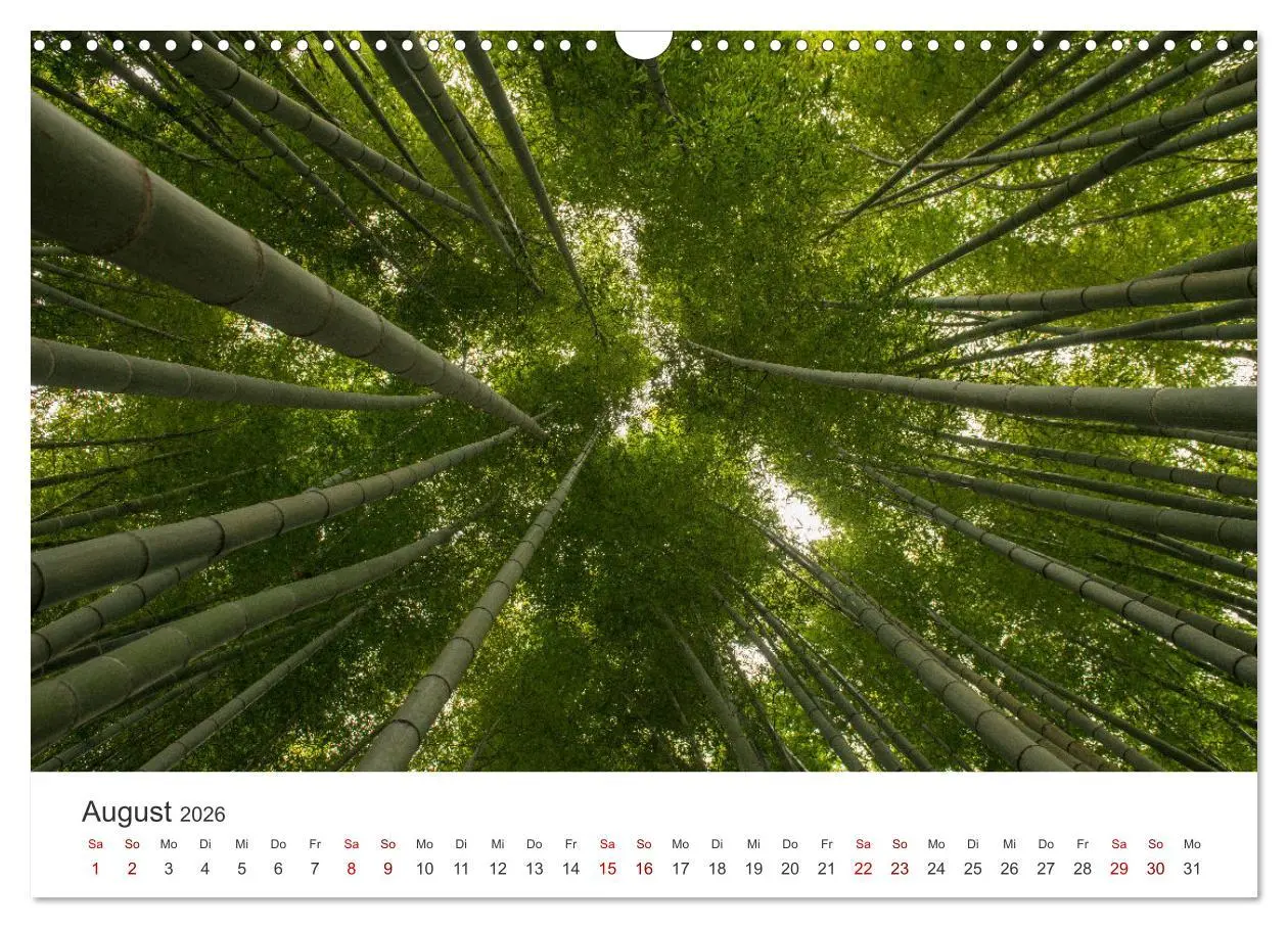 Bild: 9783457490624 | Japanischer Herbst und Laub (Wandkalender 2026 DIN A3 quer),...