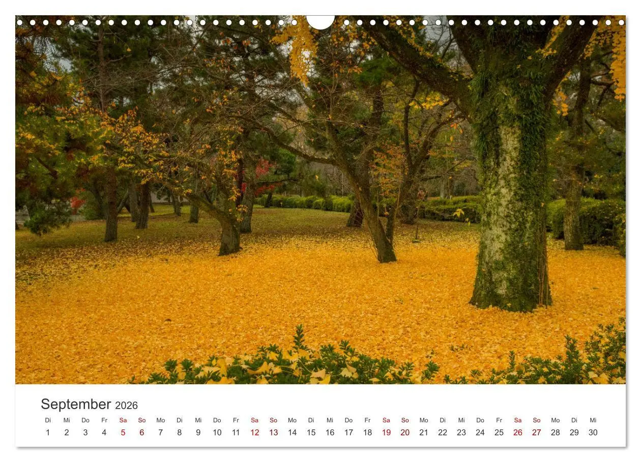 Bild: 9783457490624 | Japanischer Herbst und Laub (Wandkalender 2026 DIN A3 quer),...