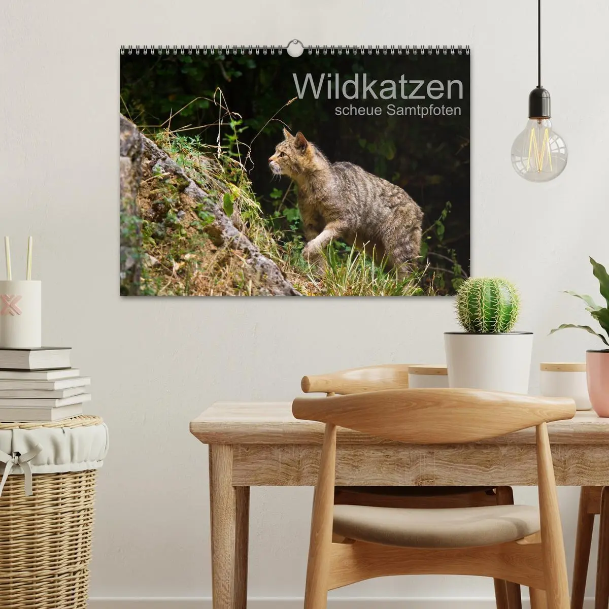 Bild: 9783457870624 | Wildkatzen - scheue Samtpfoten (Wandkalender 2026 DIN A3 quer),...