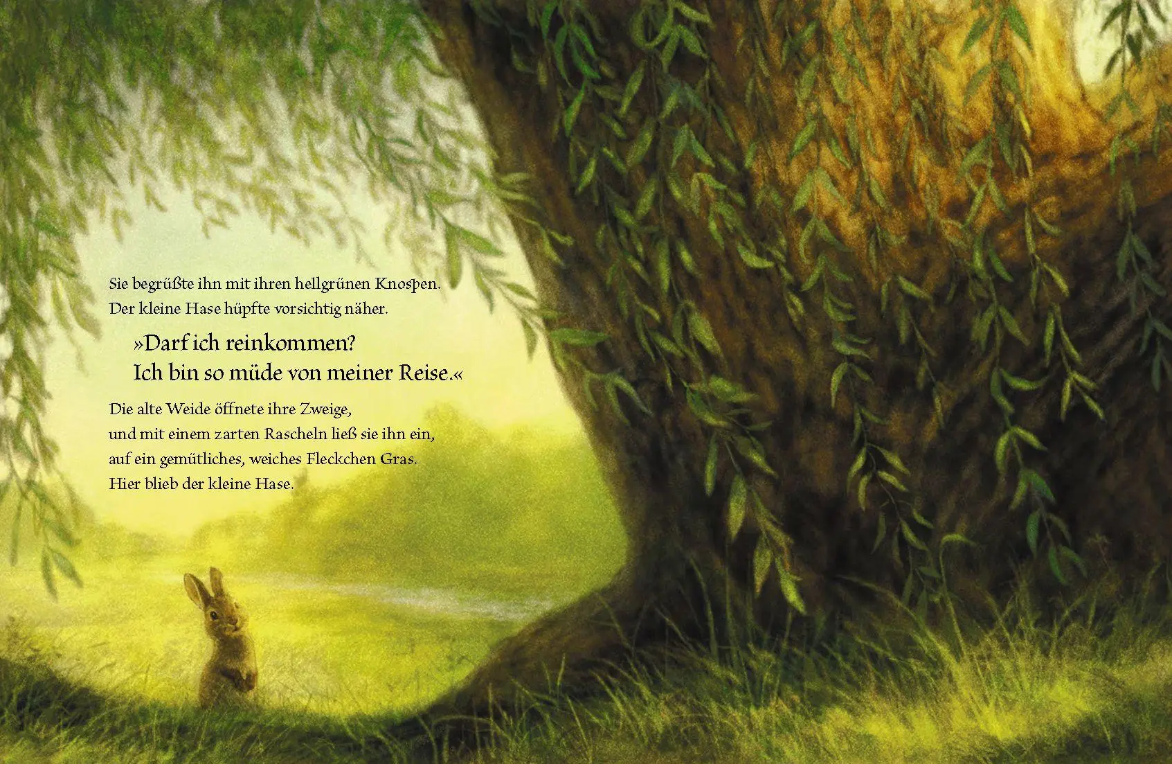 Bild: 9783968260624 | Der kleine Hase und die alte Weide | Anitra Rowe Schulte | Buch | 2025