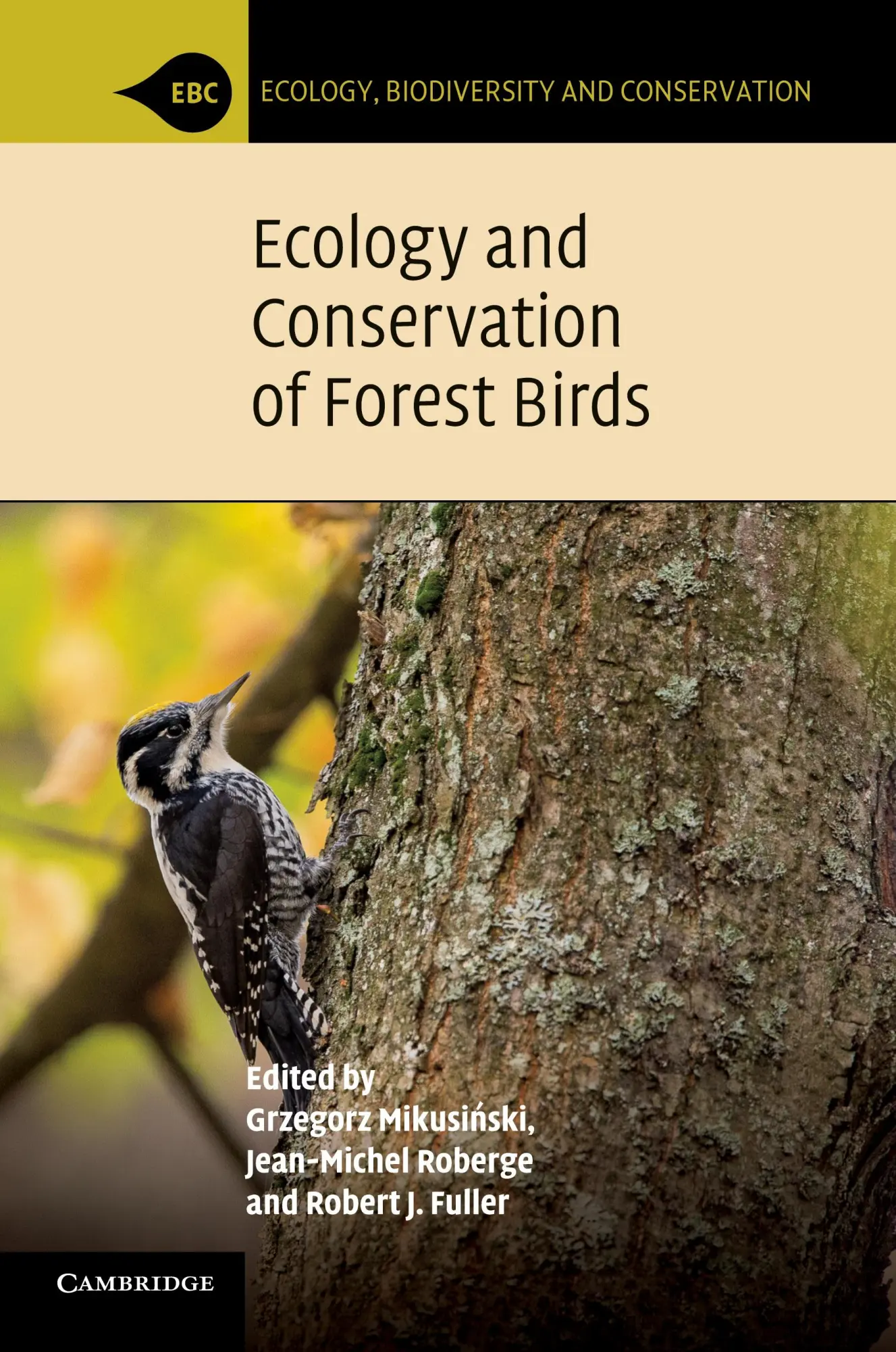 Cover: 9781107420724 | Ecology and Conservation of Forest Birds | Grzegorz Mikusi¿ski (u. a.)