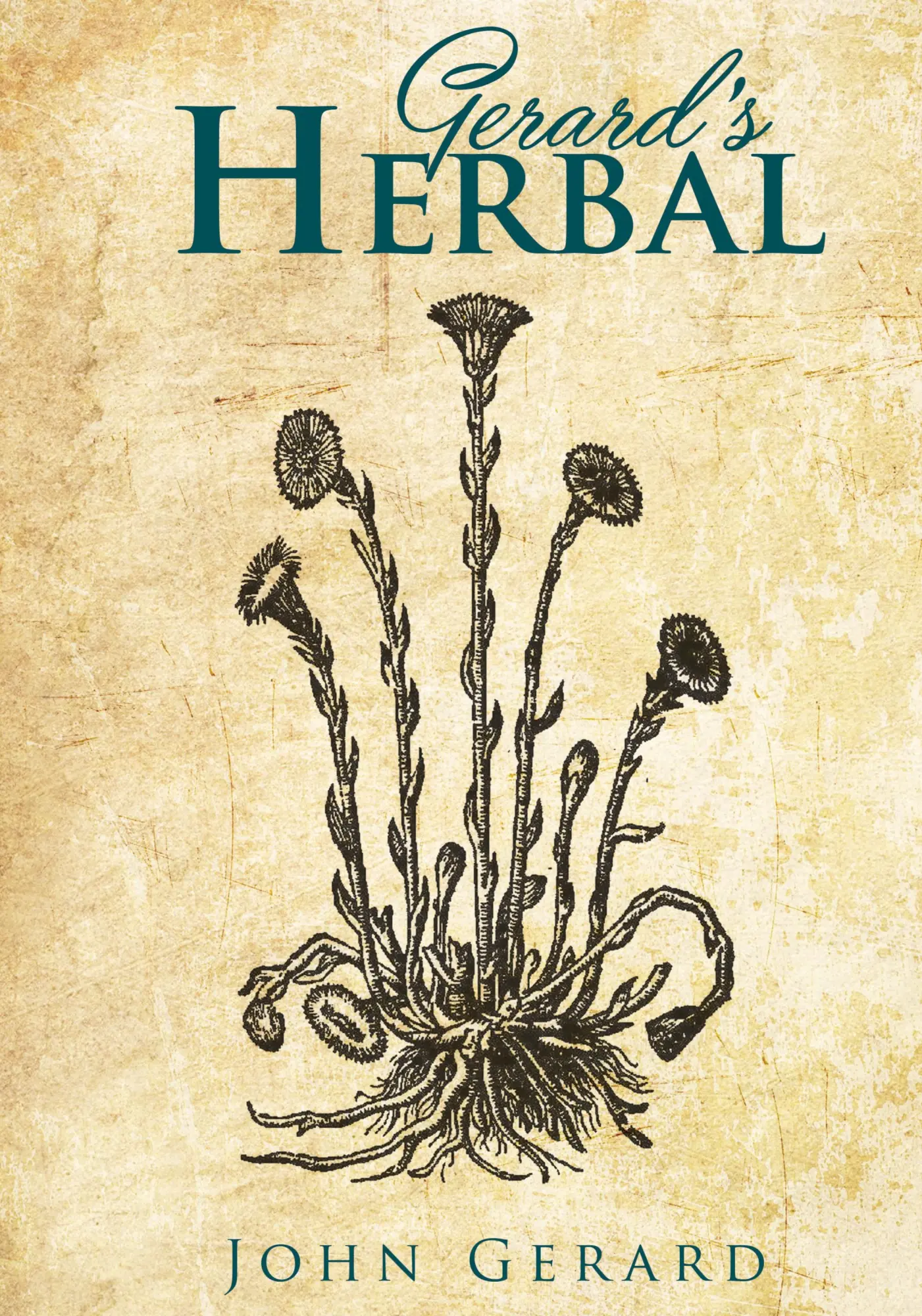 Cover: 9781906830724 | Gerard's Herball | John Gerard | Buch | Gebunden | Englisch | 2015