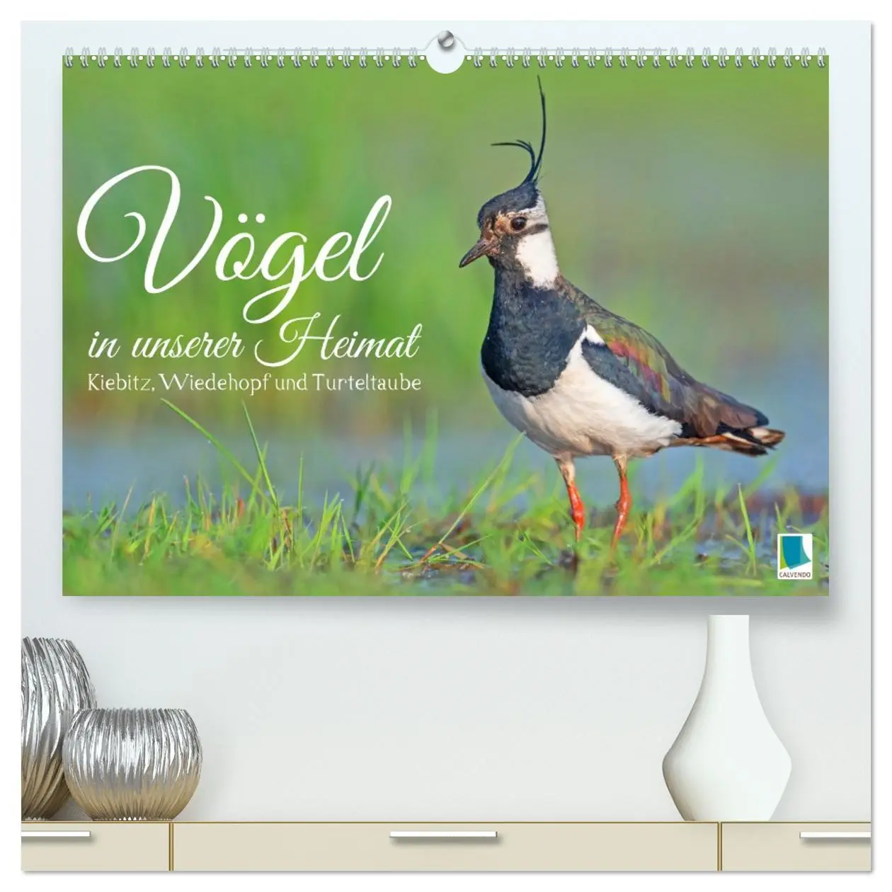 Cover: 9783457480724 | Vögel in unserer Heimat: Kiebitz, Wiedehopf und Turteltaube...