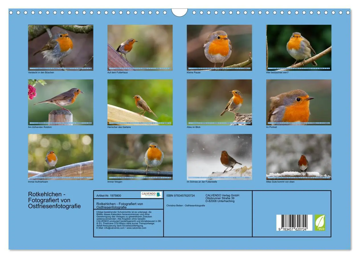 Bild: 9783457620724 | Rotkehlchen - Fotografiert von Ostfriesenfotografie (Wandkalender...