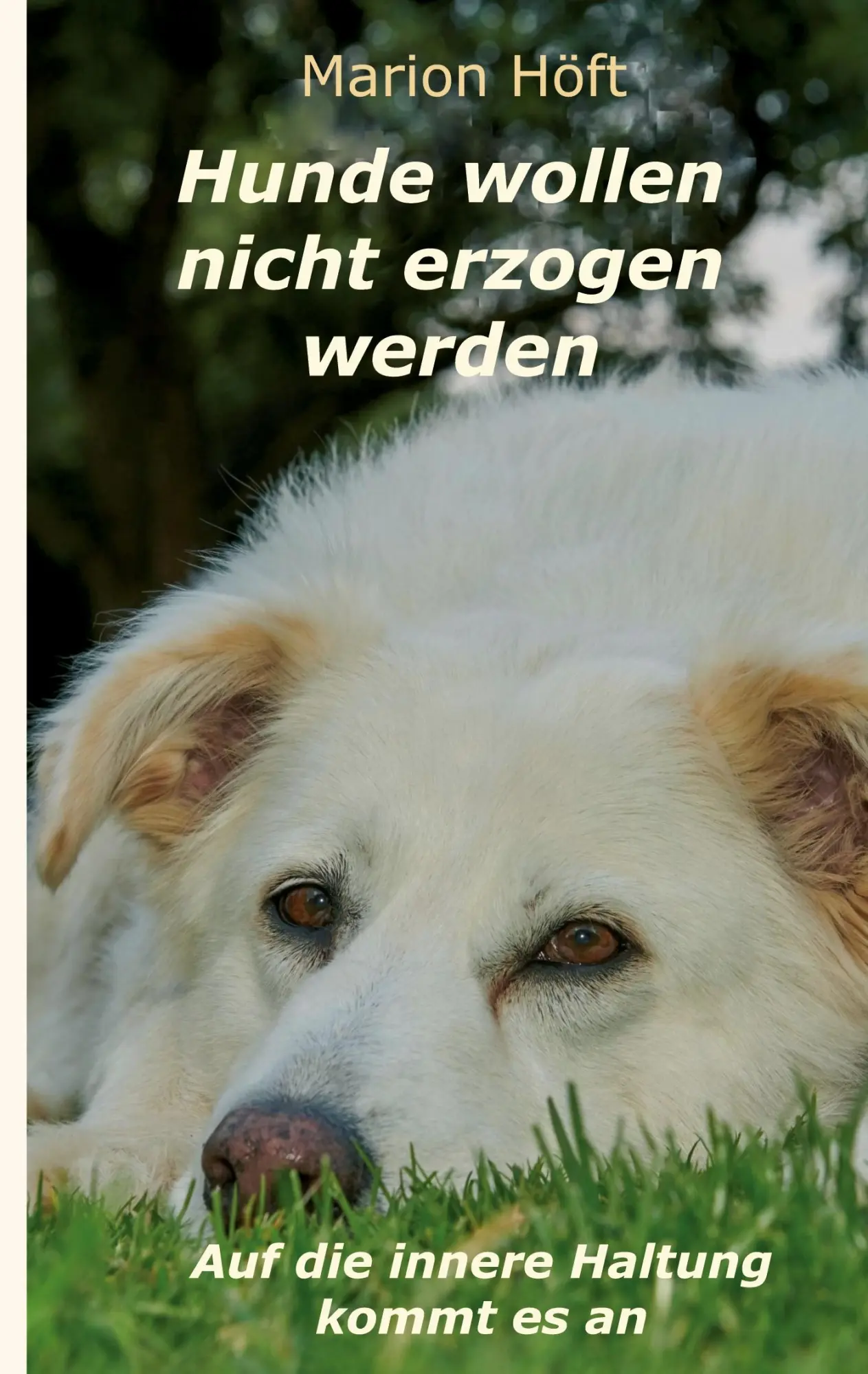 Cover: 9783347270824 | Hunde wollen nicht erzogen werden | Auf die innere Haltung kommt es an