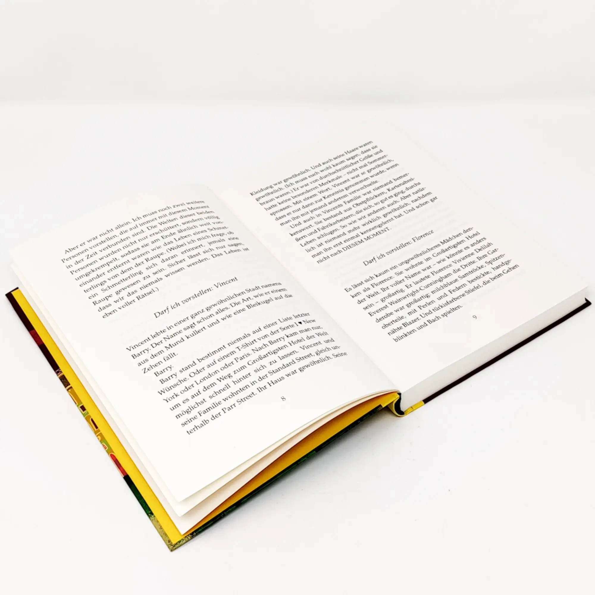 Bild: 9783423640824 | Vincent und das Großartigste Hotel der Welt | Lisa Nicol | Buch | 2021