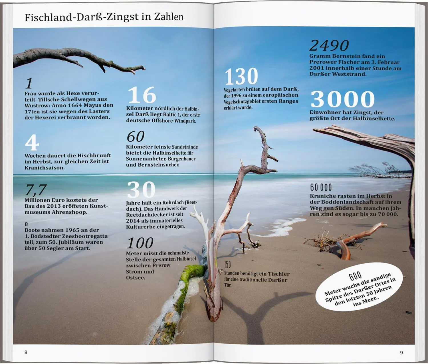 Bild: 9783616000824 | DUMONT direkt Reiseführer Fischland, Darß, Zingst | Claudia Banck