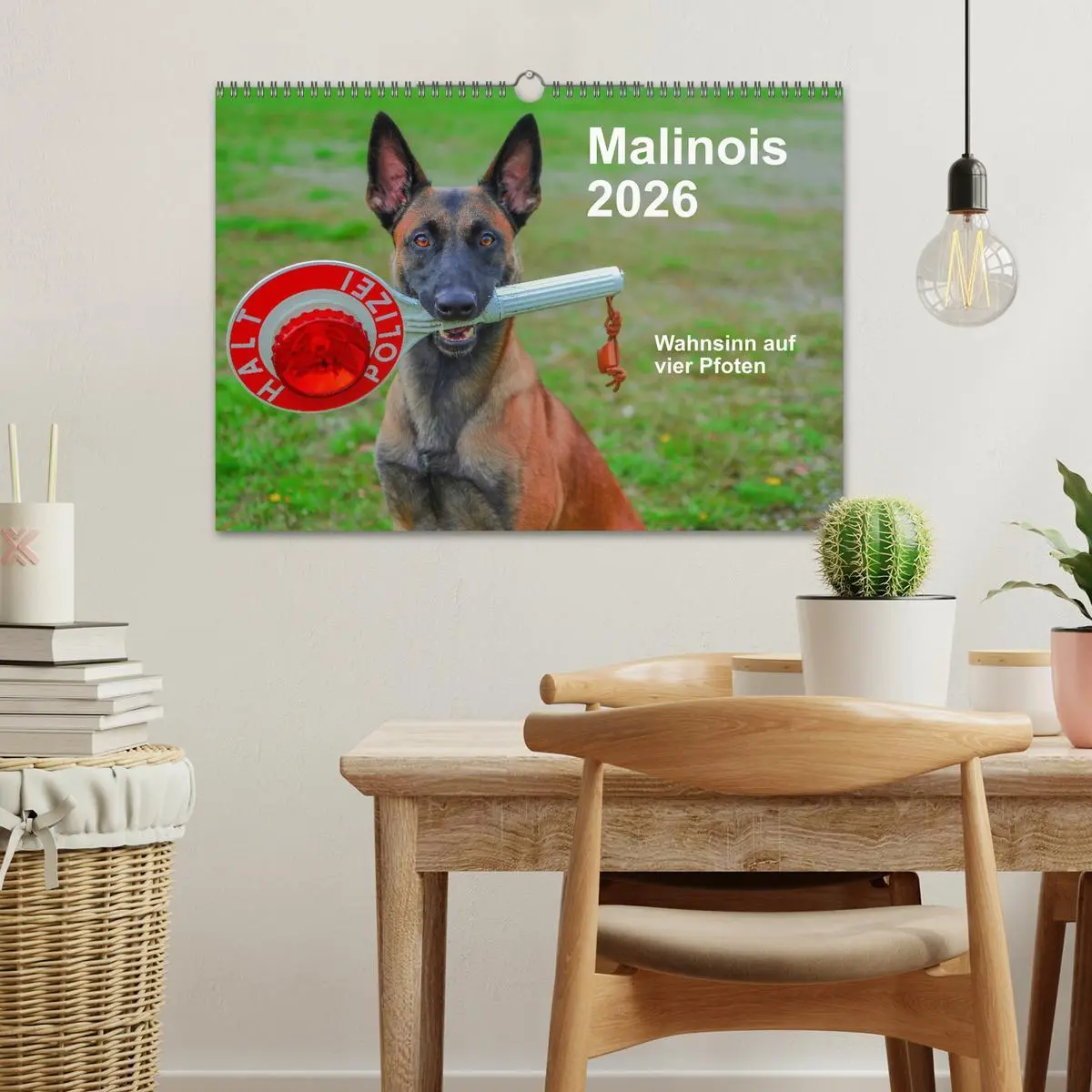 Bild: 9783457840924 | Malinois - Wahnsinn auf vier Pfoten (Wandkalender 2026 DIN A3...