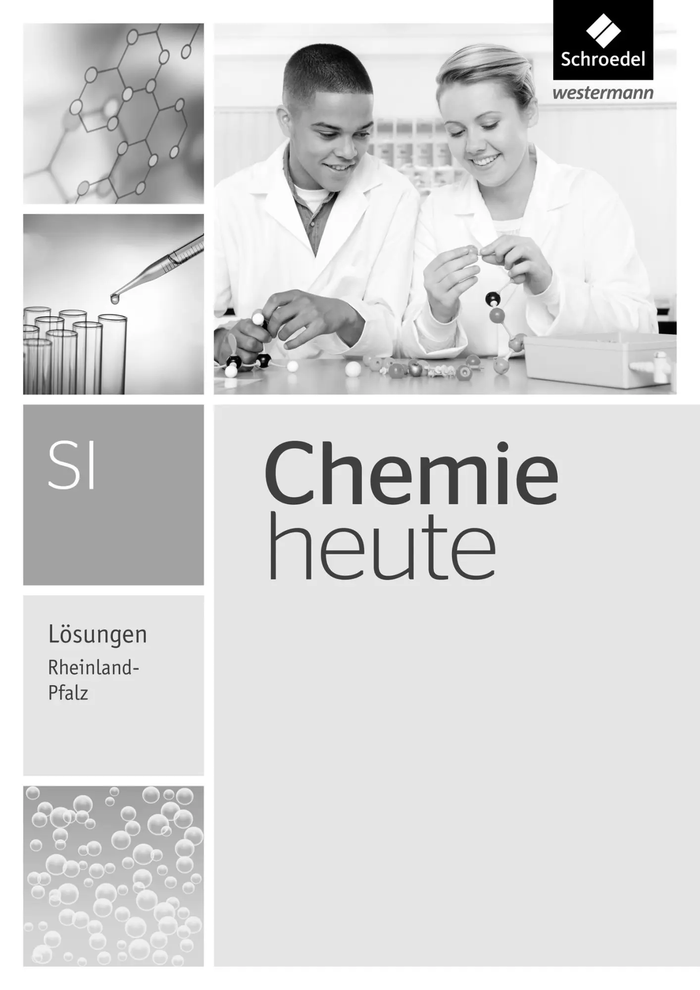 Cover: 9783507880924 | Chemie heute SI. Lösungen. Rheinland-Pfalz | Bernhard F. Sieve | Buch