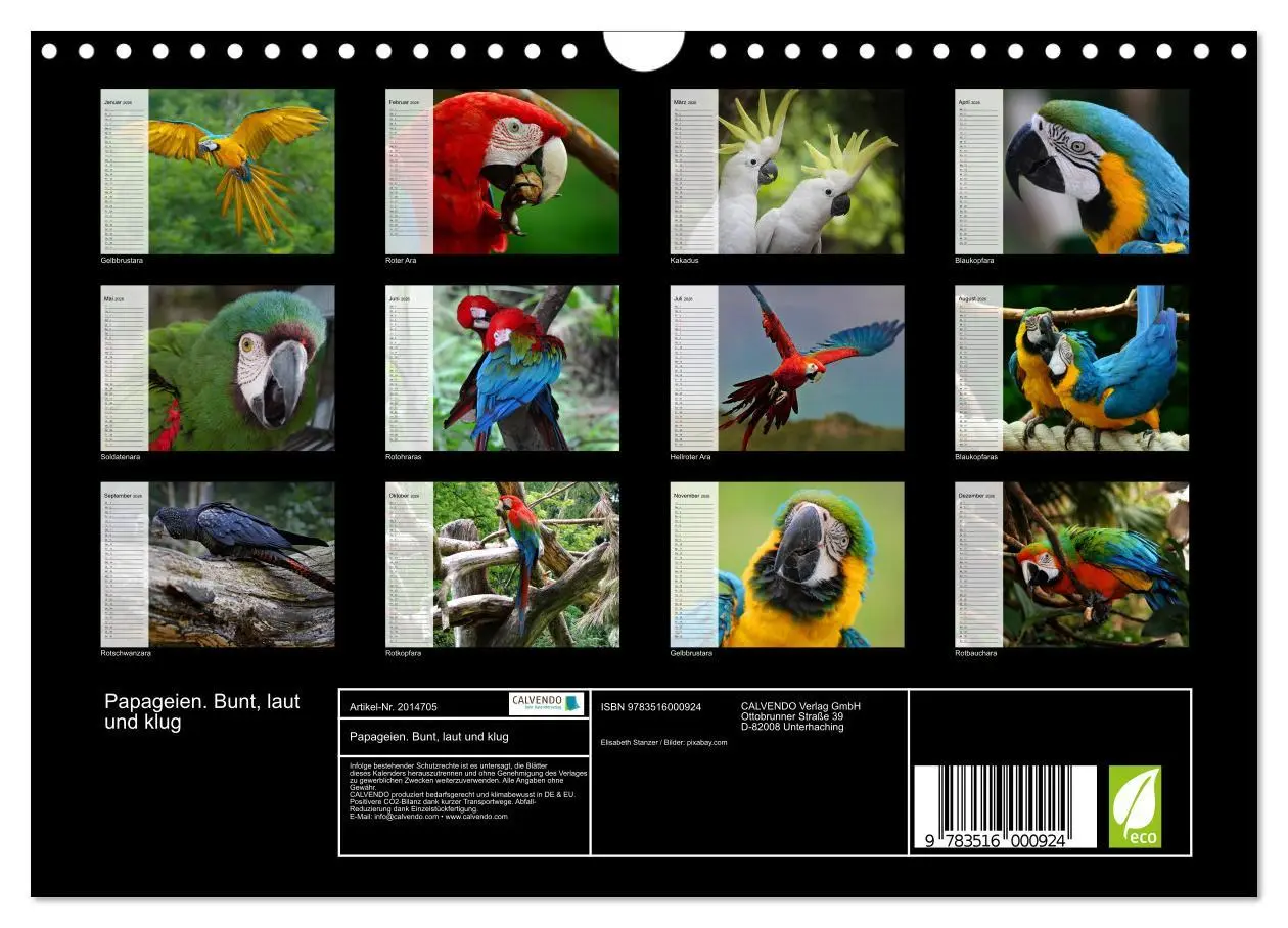 Bild: 9783516000924 | Papageien. Bunt, laut und klug (Wandkalender 2026 DIN A4 quer),...