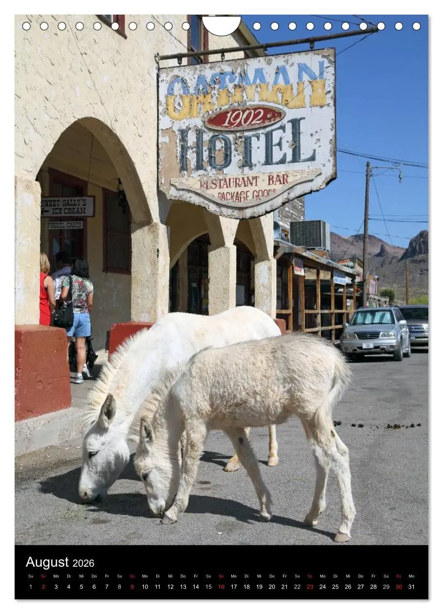 Bild: 9783516480924 | Route 66 (Wandkalender 2026 DIN A4 hoch), CALVENDO Monatskalender
