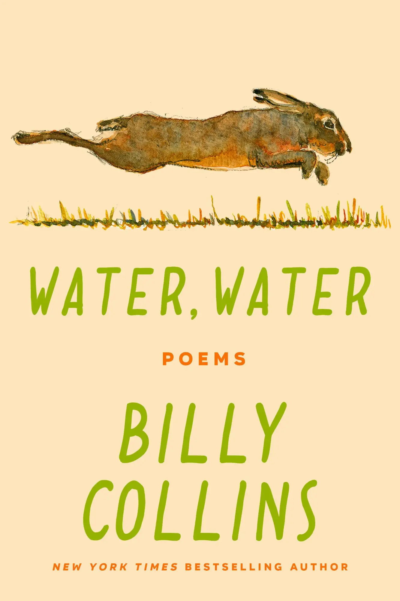 Cover: 9780593731024 | Water, Water | Poems | Billy Collins | Buch | Englisch | 2024