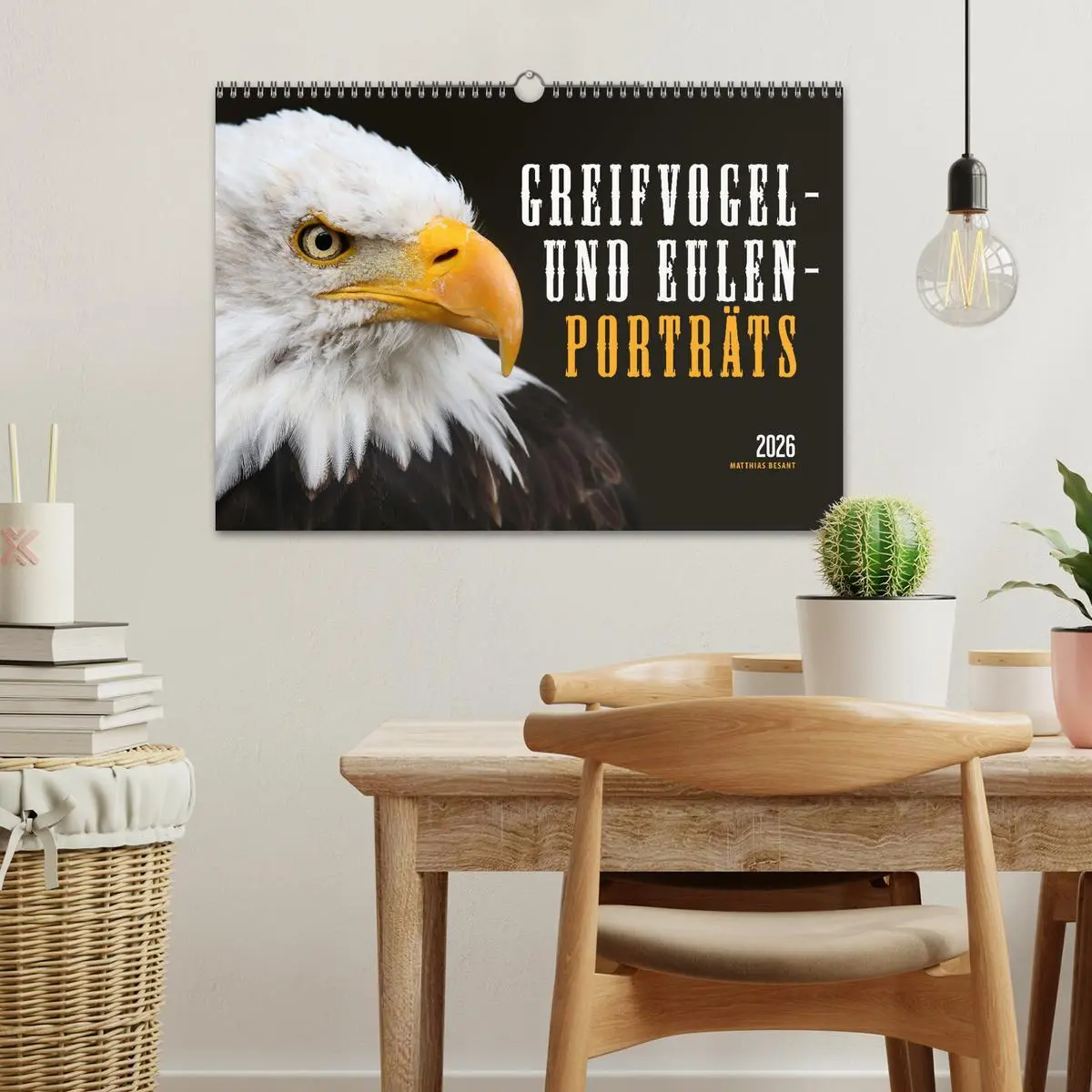 Bild: 9783457801024 | GREIFVOGEL- UND EULENPORTRÄTS (Wandkalender 2026 DIN A3 quer),...