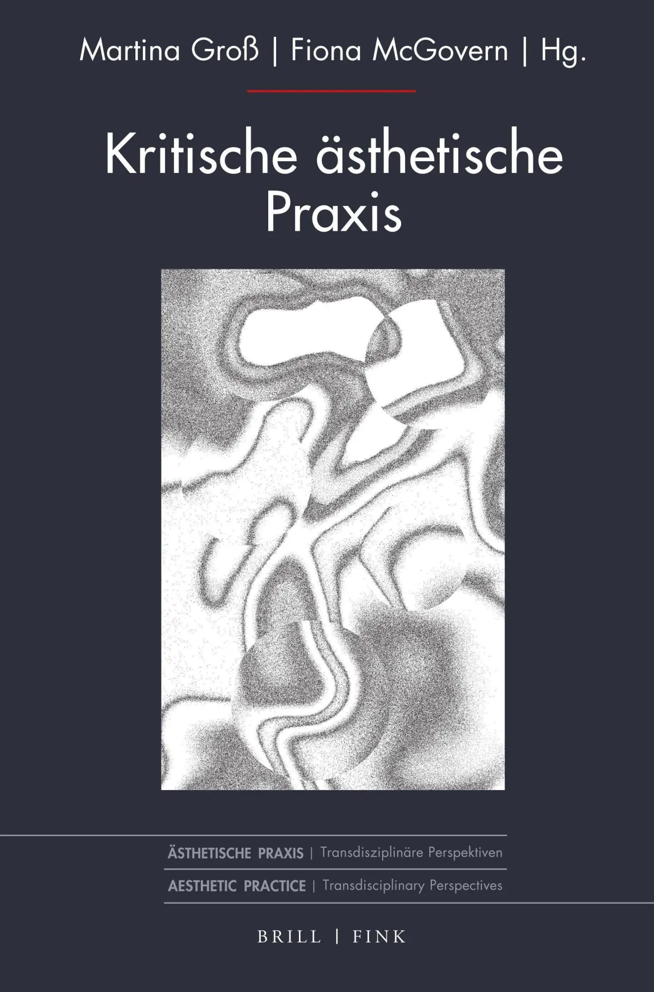 Kritische ästhetische Praxis - Neuware