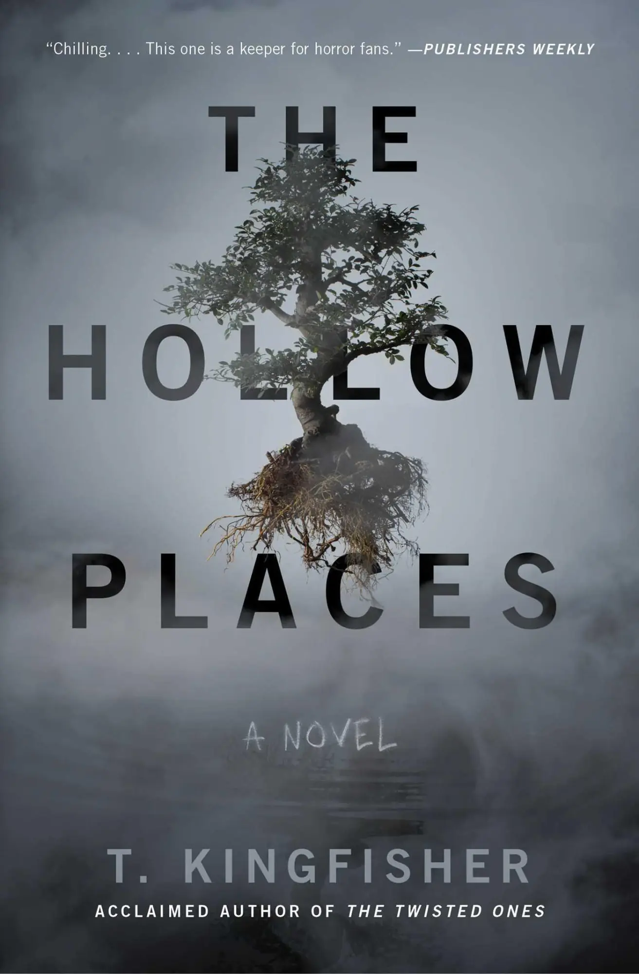 Cover: 9781534451124 | Hollow Places | T. Kingfisher | Taschenbuch | Englisch | 2020