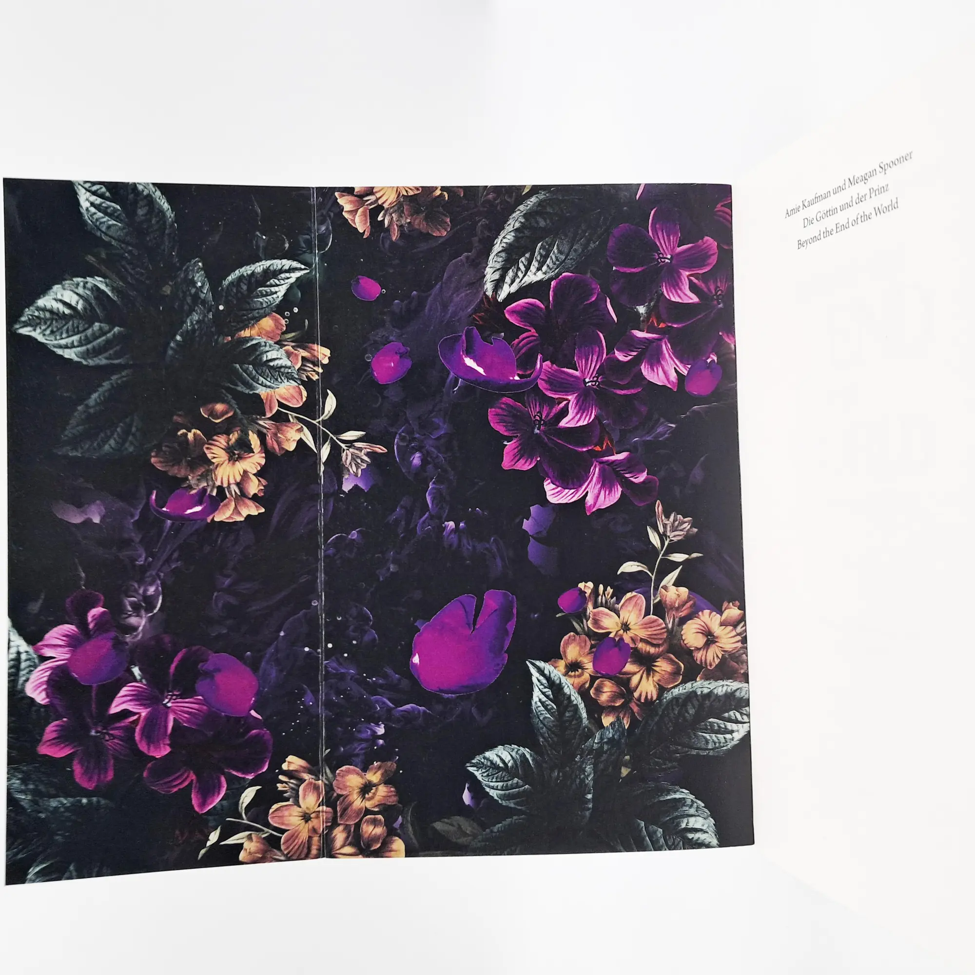 Bild: 9783423741224 | Beyond the End of the World - Die Göttin und der Prinz | Taschenbuch