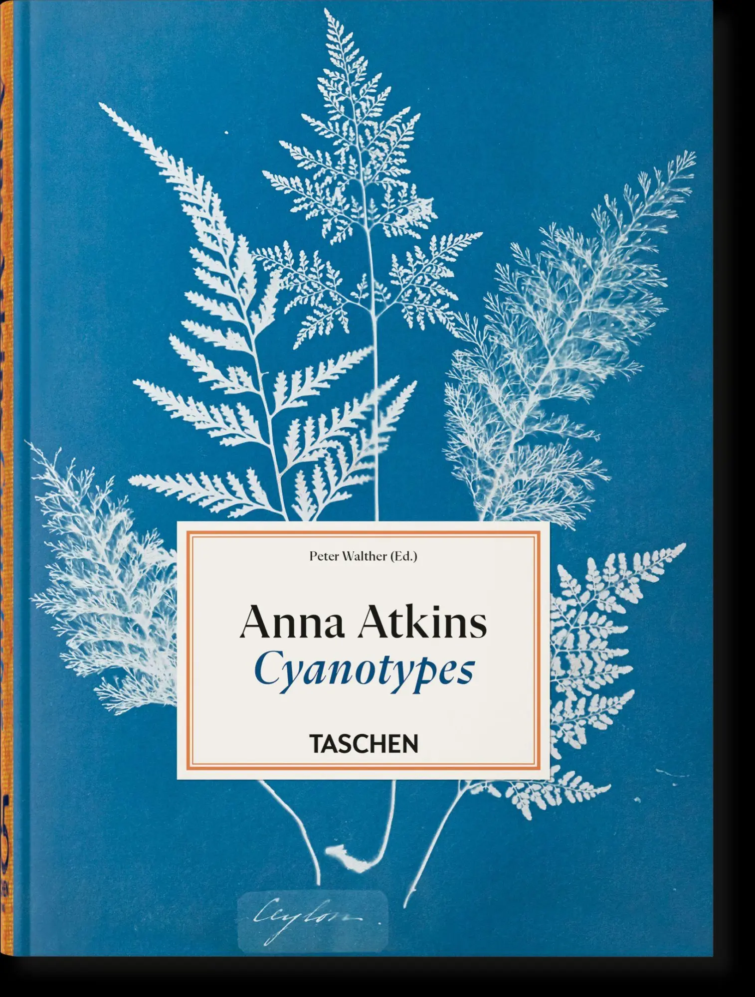 Cover: 9783754401224 | Anna Atkins | Cyanotypes. 45th Ed. | Peter Walther | Buch | 512 S.