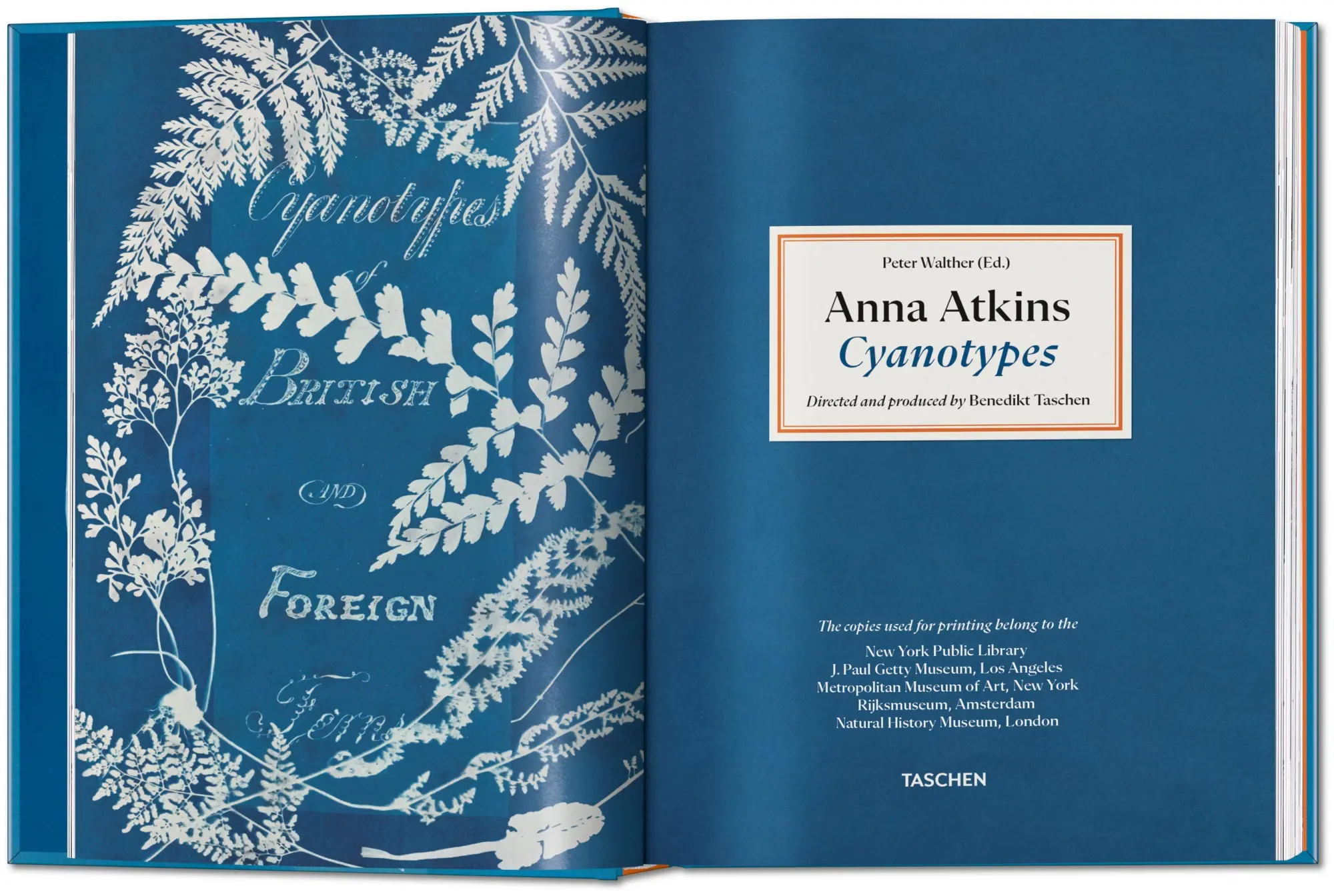 Bild: 9783754401224 | Anna Atkins | Cyanotypes. 45th Ed. | Peter Walther | Buch | 512 S.