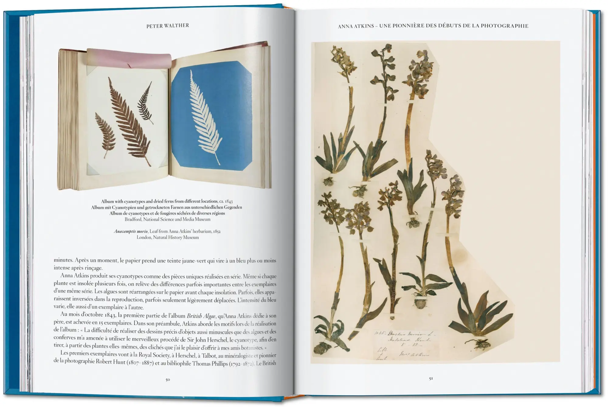 Bild: 9783754401224 | Anna Atkins | Cyanotypes. 45th Ed. | Peter Walther | Buch | 512 S.