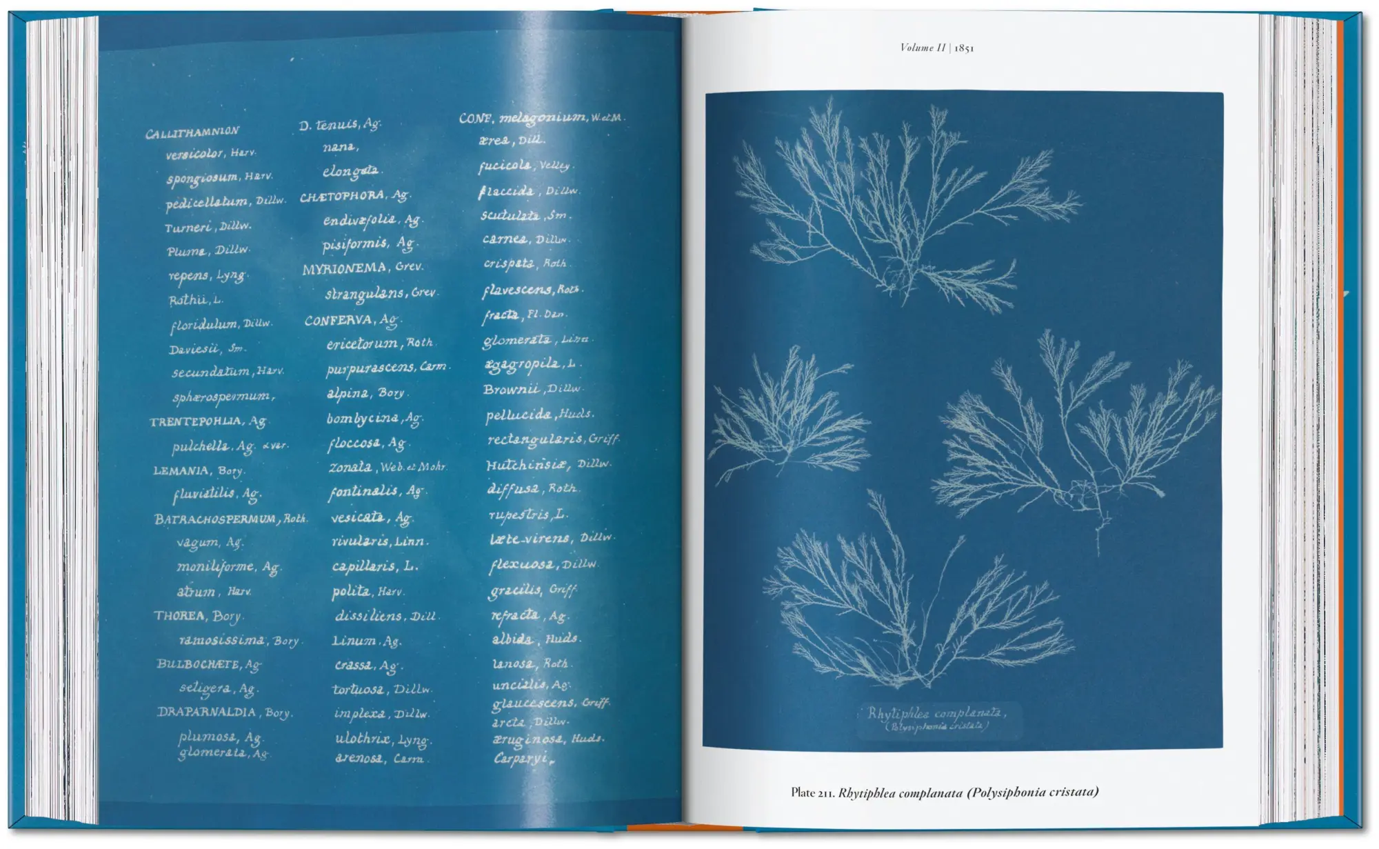 Bild: 9783754401224 | Anna Atkins | Cyanotypes. 45th Ed. | Peter Walther | Buch | 512 S.