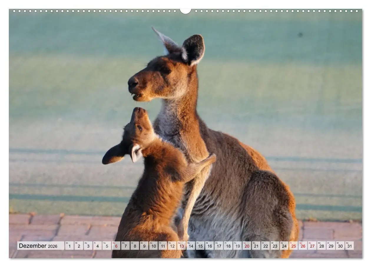 Bild: 9783457481424 | Australien - "Nur wo Du zu Fuß warst, bist Du wirklich gewesen"...