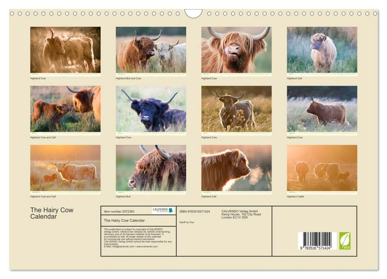 Bild: 9783516571424 | The Hairy Cow Calendar (Wall Calendar 2026 DIN A3 landscape),...