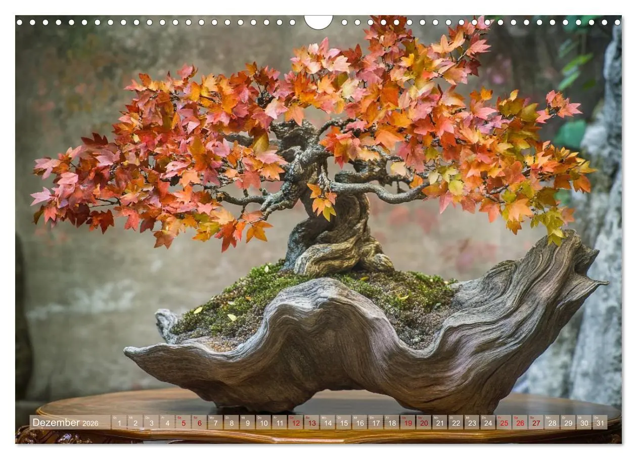 Bild: 9783457301524 | Bonsai, die formvollendete Kunst (Wandkalender 2026 DIN A3 quer),...