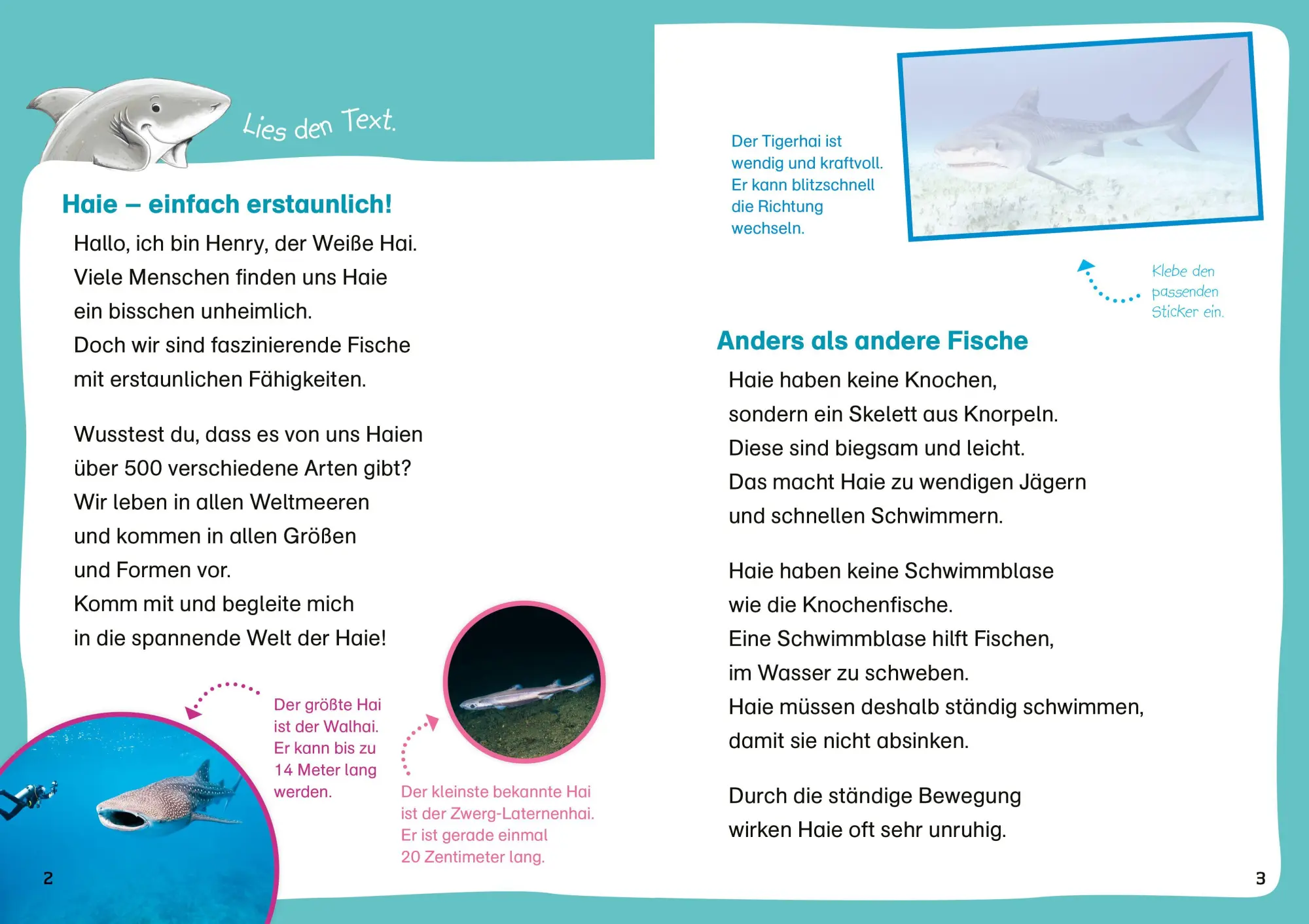 Bild: 9783788681524 | WAS IST WAS Erstes Leserätsel. Haie | Waltraud Grill | Broschüre