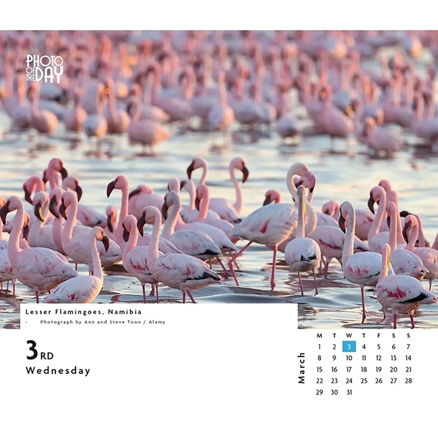 Bild: 9781529861624 | Photo of the Day - Foto des Tages 2027 | Carousel Calendars | Kalender