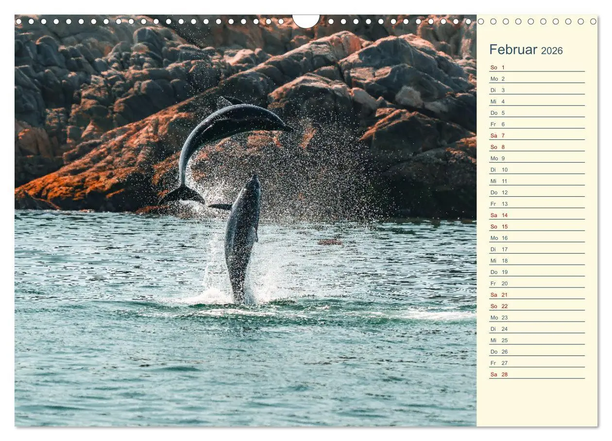 Bild: 9783457391624 | Oman - Unvergessliche Momente (Wandkalender 2026 DIN A3 quer),...