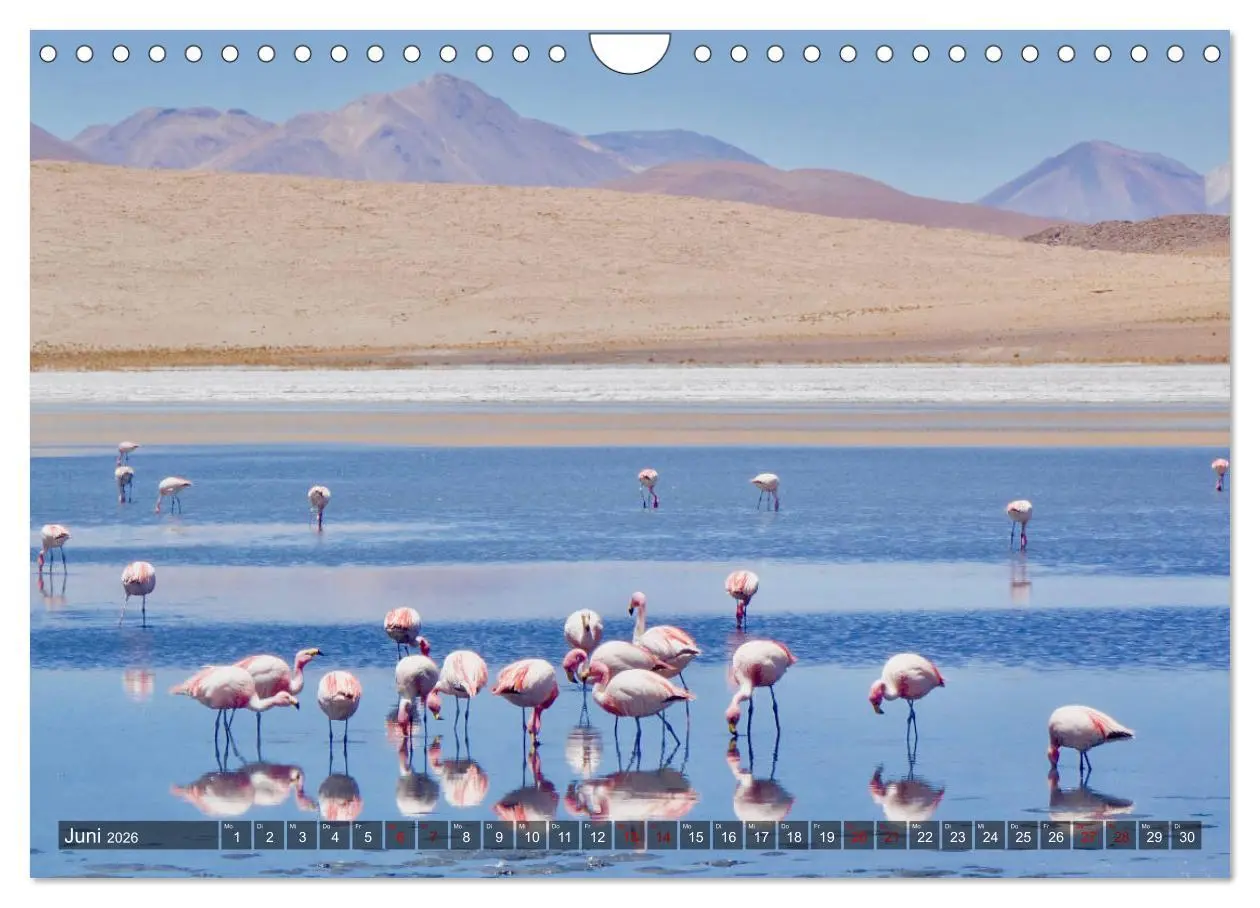 Bild: 9783457841624 | Peru Bolivien Chile (Wandkalender 2026 DIN A4 quer), CALVENDO...
