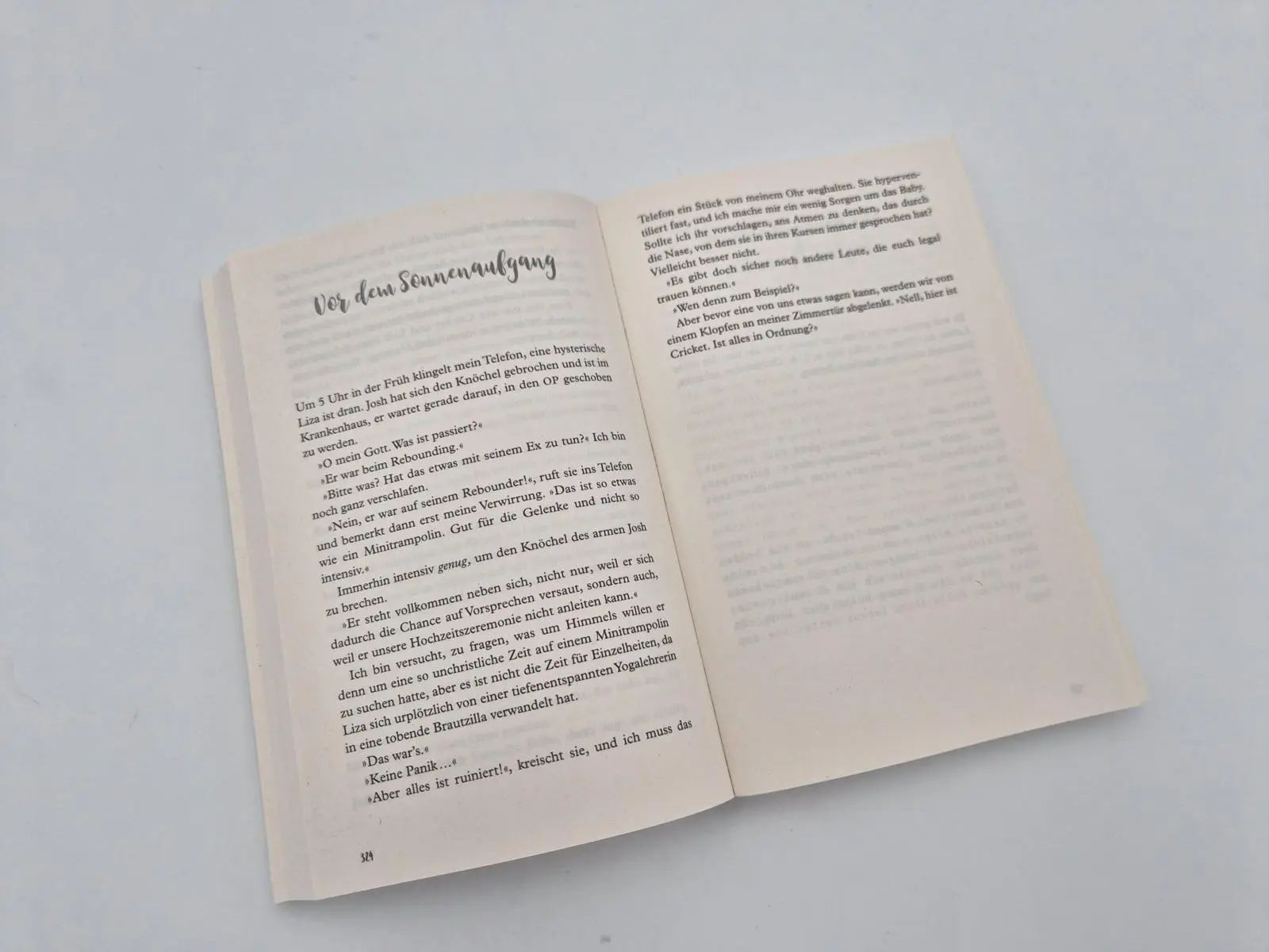 Bild: 9783492321624 | Wenn das die Lösung ist, will ich mein Problem zurück | Potter | Buch