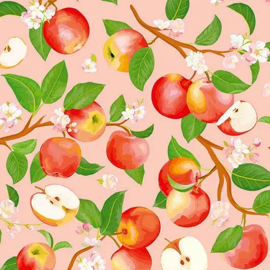 Bild: 9783745931624 | 333 Origami Minis - Mein Obstgarten | Taschenbuch | 704 S. | Deutsch
