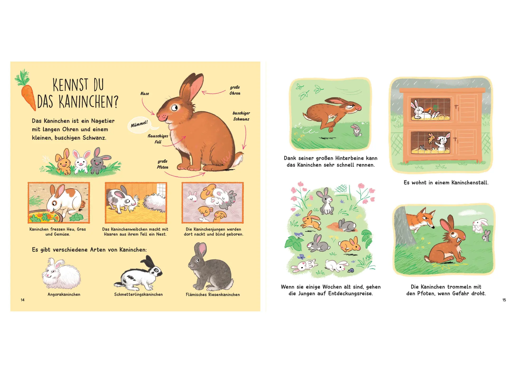 Bild: 9783809451624 | Kennst du die Tiere vom Bauernhof? - Sachbilderbuch für Kinder ab 3...
