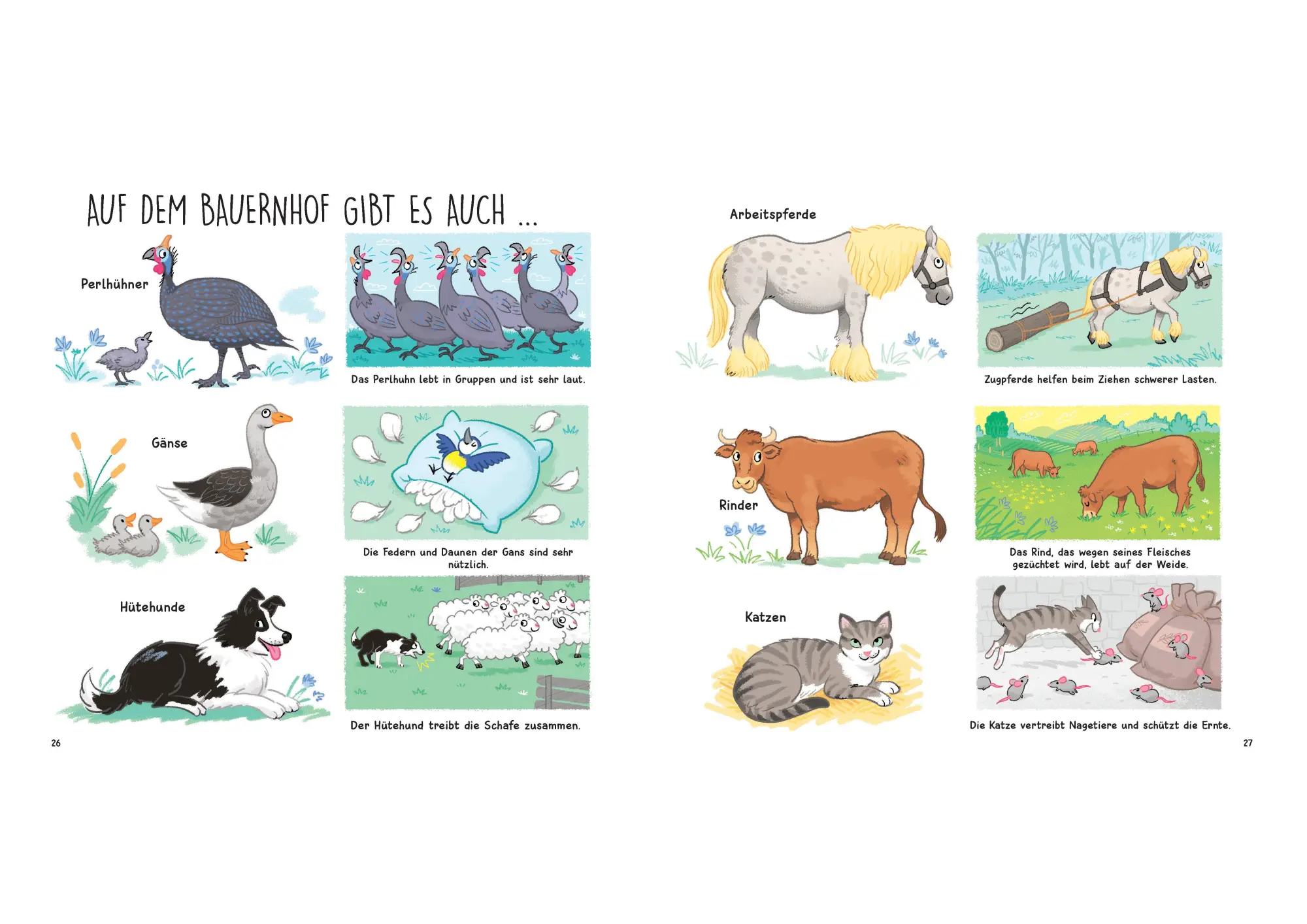 Bild: 9783809451624 | Kennst du die Tiere vom Bauernhof? - Sachbilderbuch für Kinder ab 3...