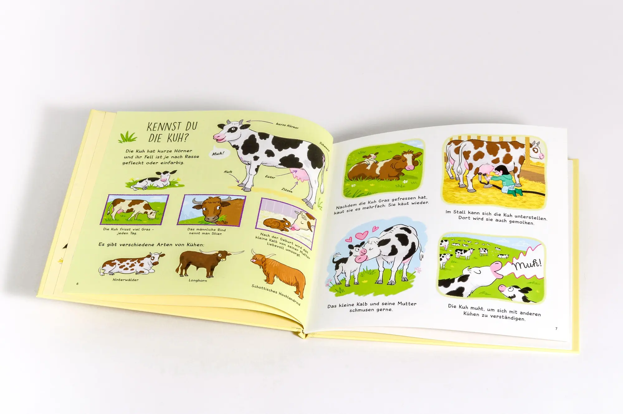 Bild: 9783809451624 | Kennst du die Tiere vom Bauernhof? - Sachbilderbuch für Kinder ab 3...