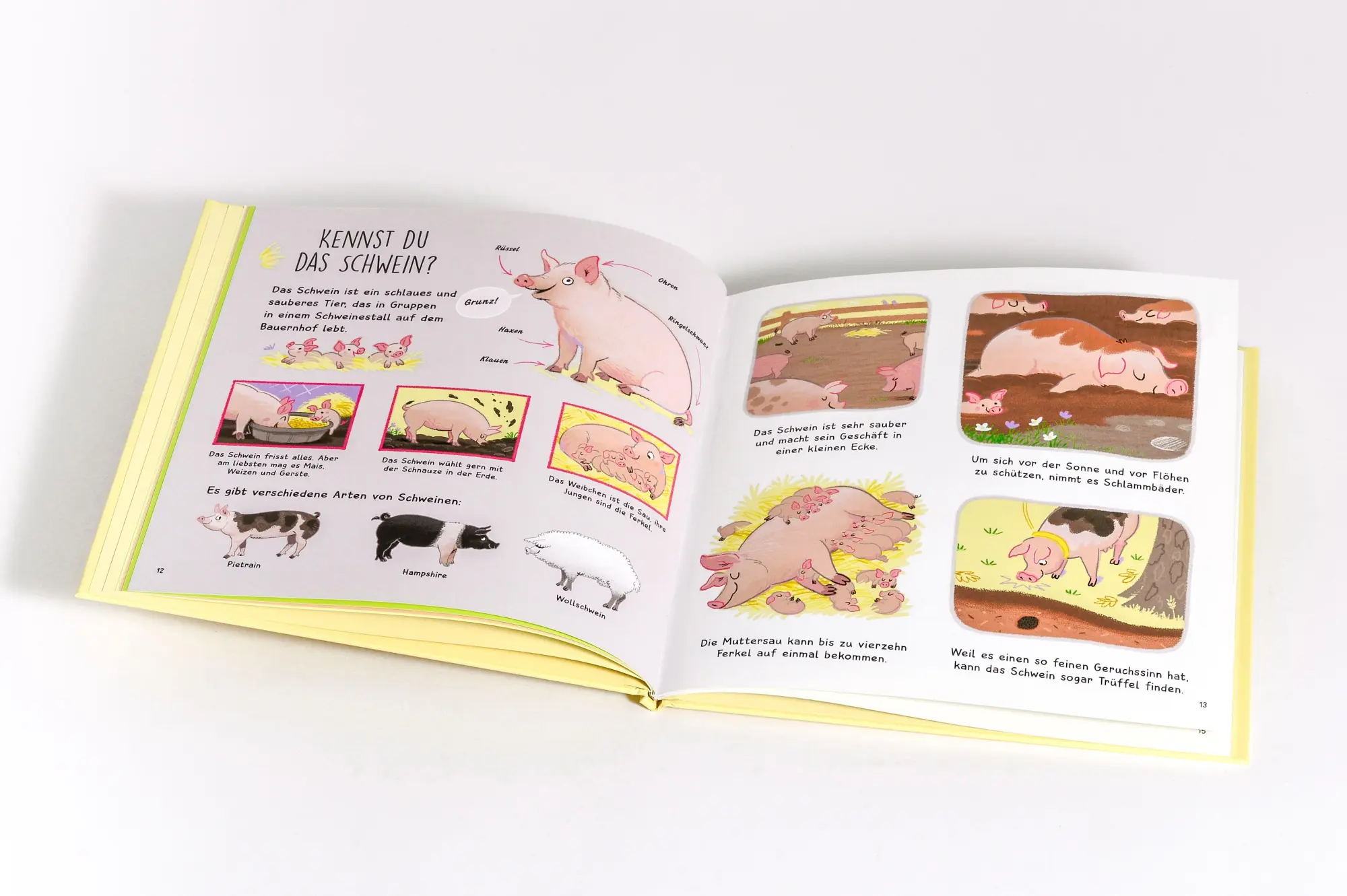 Bild: 9783809451624 | Kennst du die Tiere vom Bauernhof? - Sachbilderbuch für Kinder ab 3...