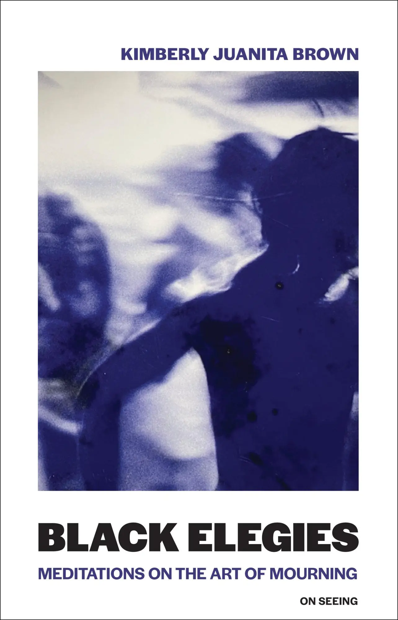 Cover: 9780262551724 | Black Elegies | Meditations on the Art of Mourning | Brown | Buch