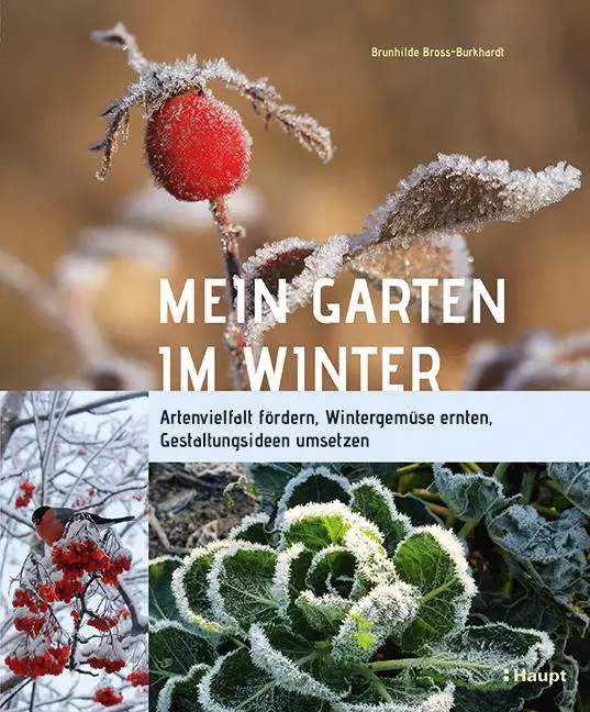 Cover: 9783258081724 | Mein Garten im Winter | Brunhilde Bross-Burkhardt | Buch | 192 S.