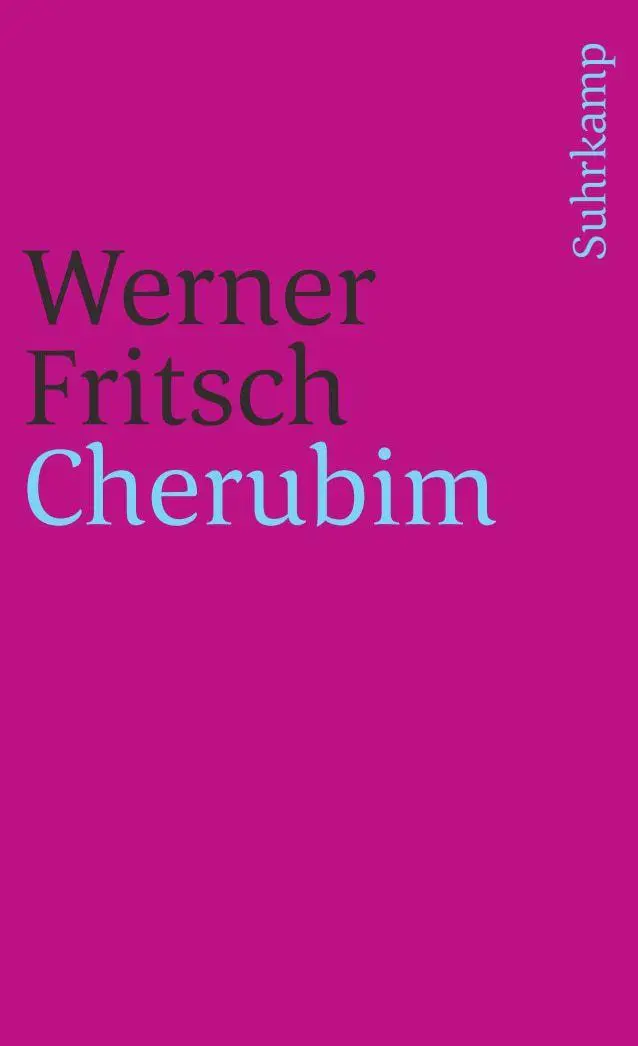 Cover: 9783518381724 | Cherubim | Werner Fritsch | Taschenbuch | 254 S. | Deutsch | 1989