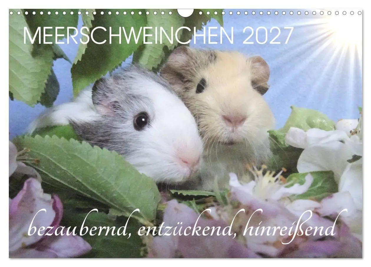 Cover: 9783569561724 | Meerschweinchen 2027 - bezaubernd, hinreißend, entzückend...