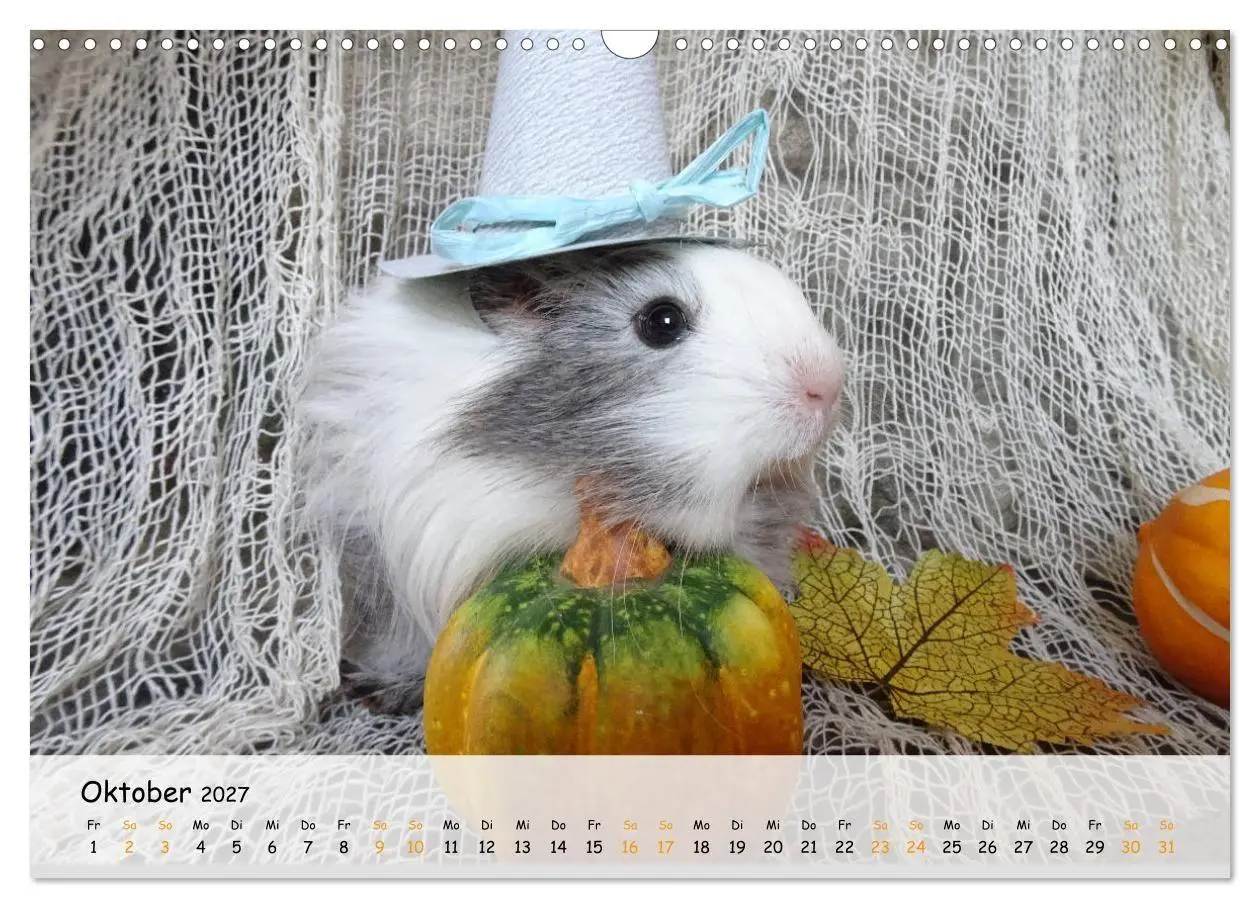 Bild: 9783569561724 | Meerschweinchen 2027 - bezaubernd, hinreißend, entzückend...