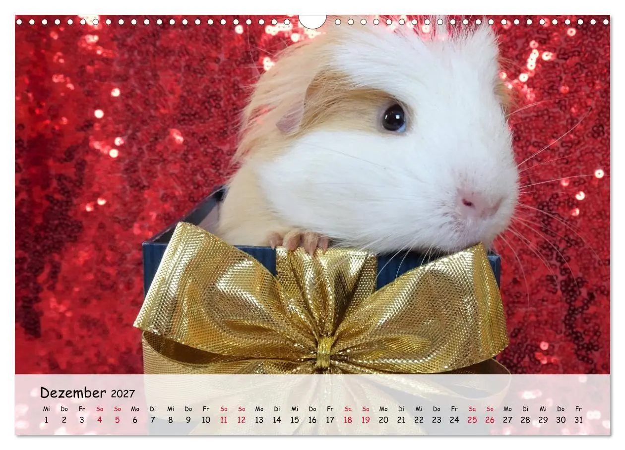 Bild: 9783569561724 | Meerschweinchen 2027 - bezaubernd, hinreißend, entzückend...