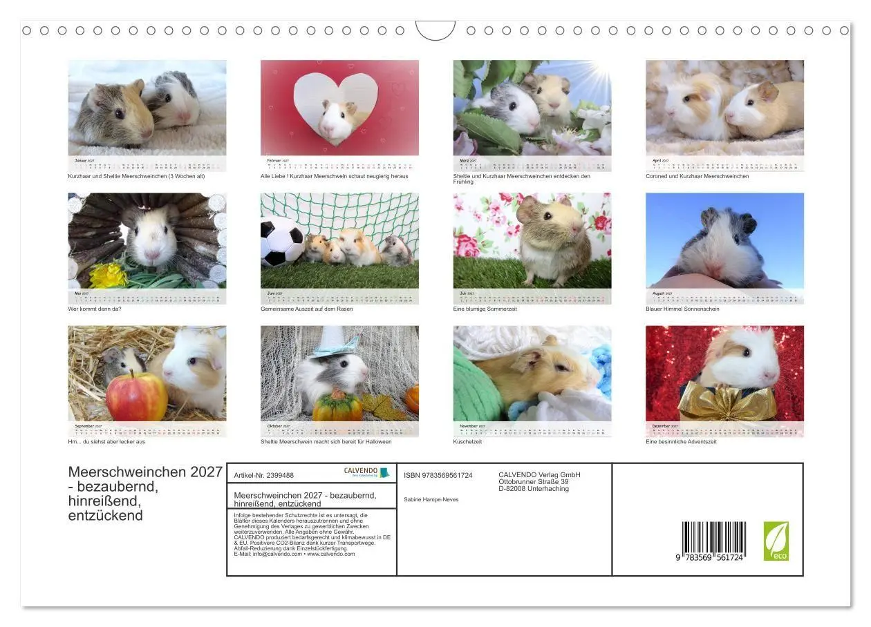 Bild: 9783569561724 | Meerschweinchen 2027 - bezaubernd, hinreißend, entzückend...
