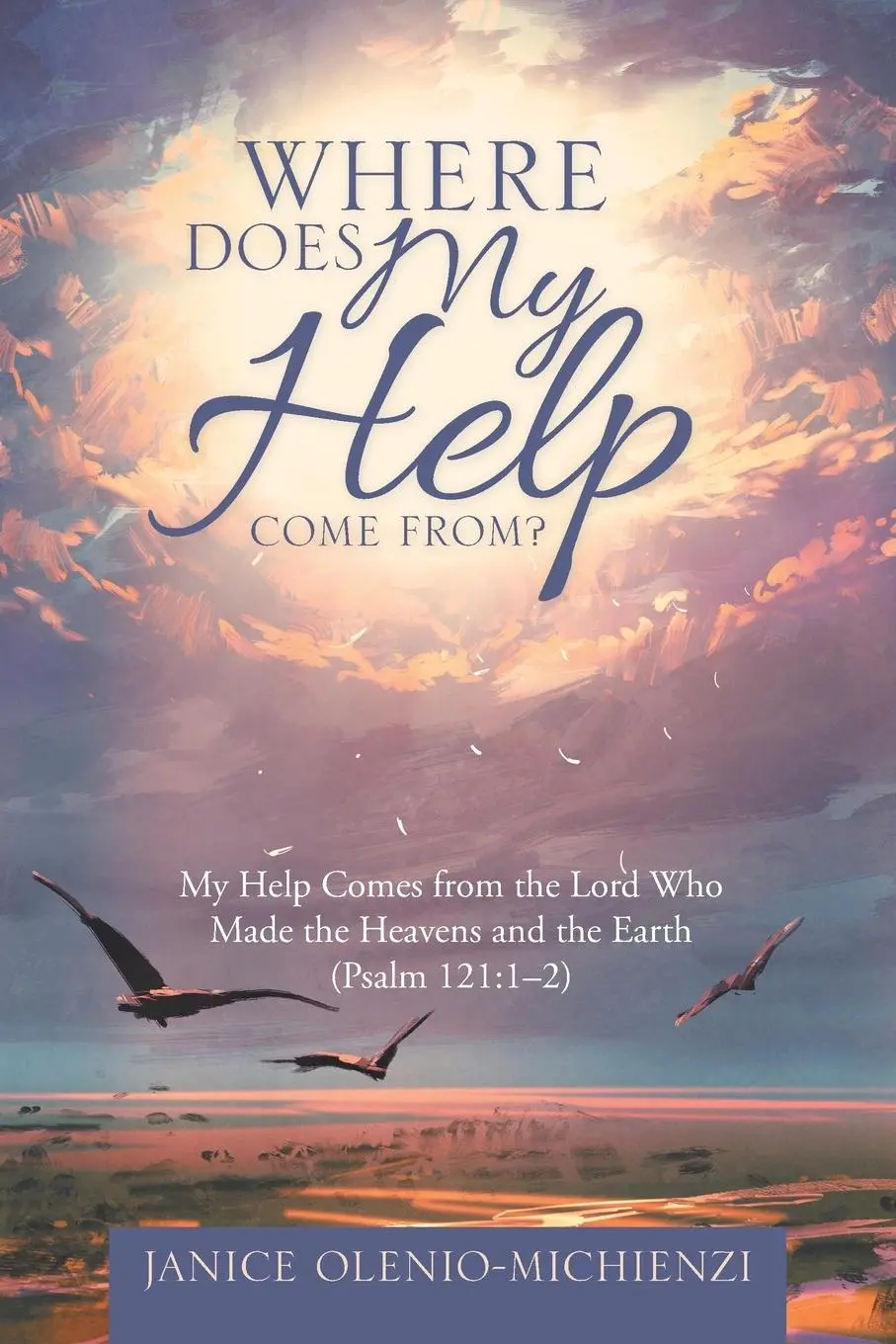 Cover: 9781512771824 | Where Does My Help Come From? | Janice Olenio-Michienzi | Taschenbuch