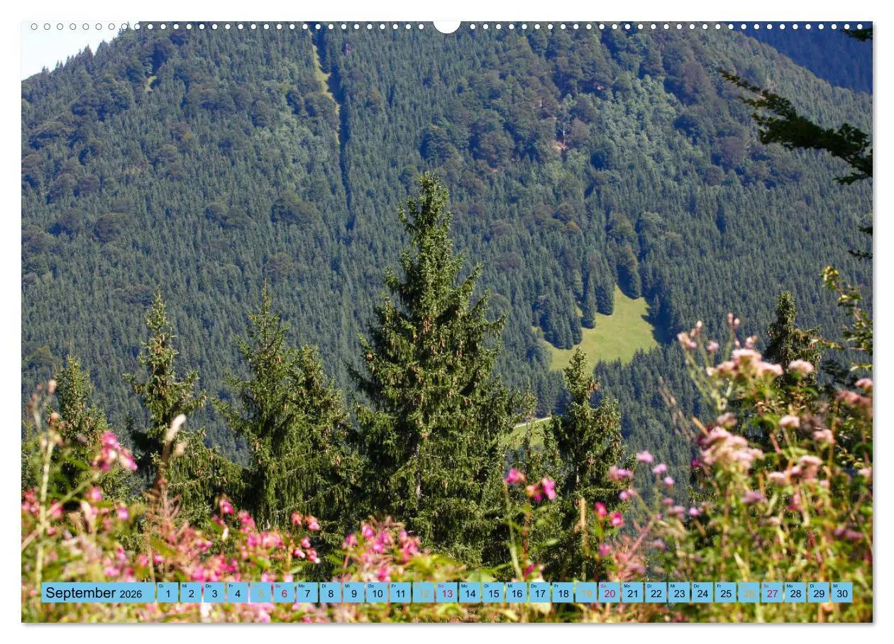 Bild: 9783457681824 | Schöner Forggensee (hochwertiger Premium Wandkalender 2026 DIN A2...