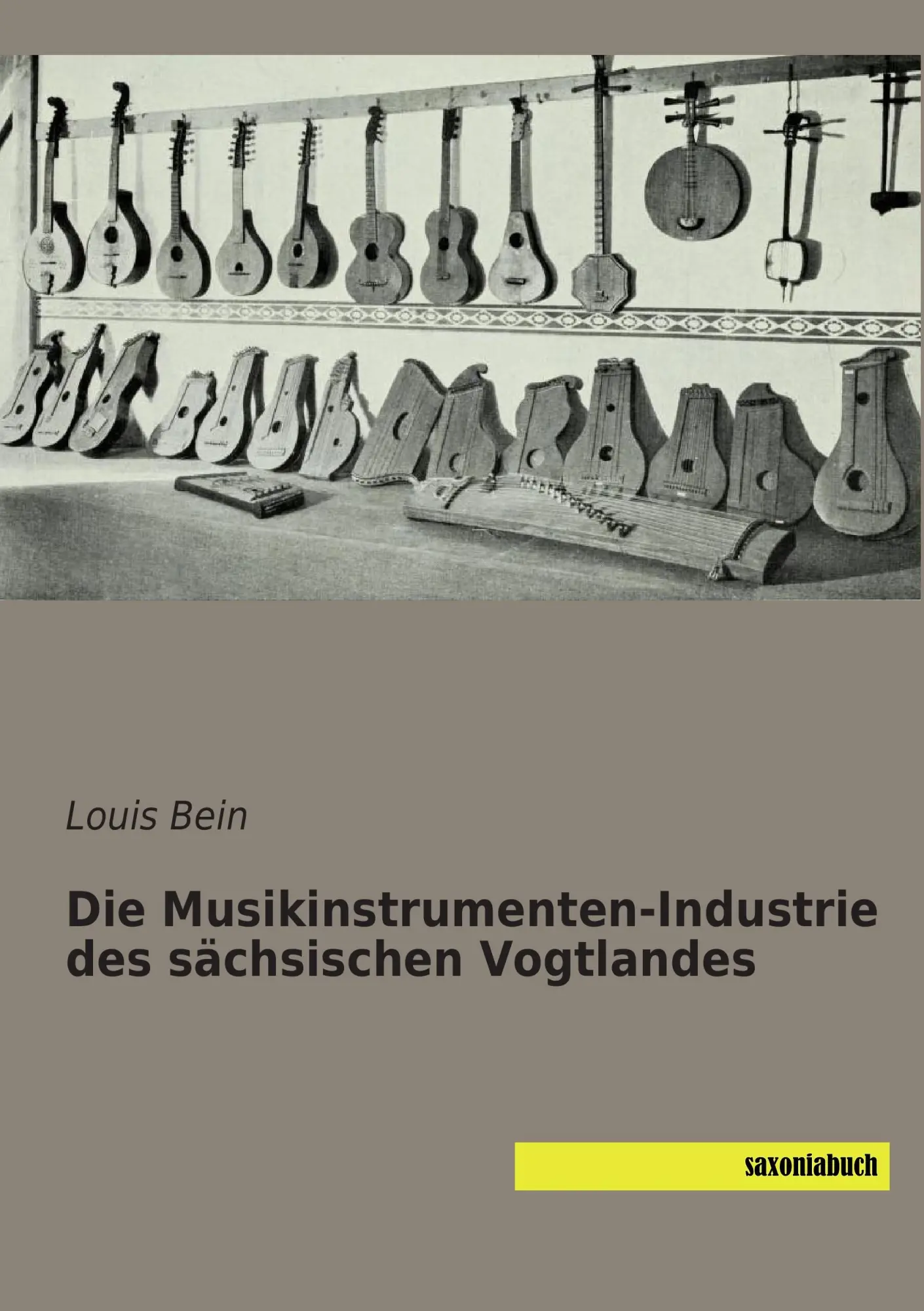Cover: 9783957701824 | Die Musikinstrumenten-Industrie des sächsischen Vogtlandes | Bein